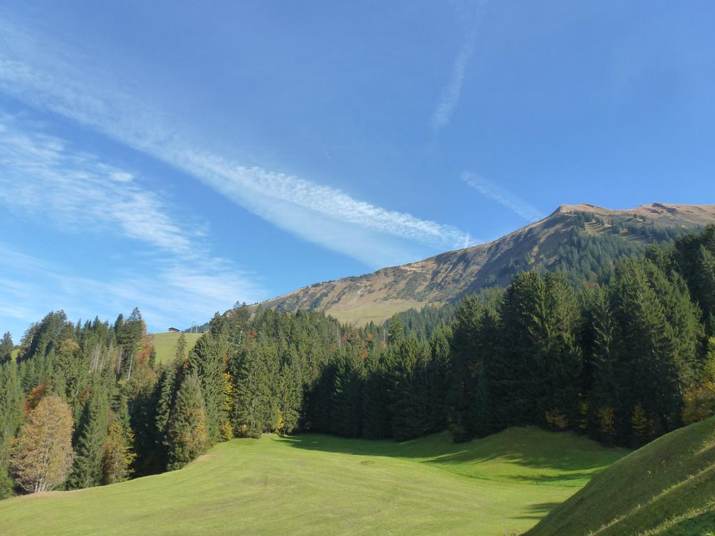 Walser Berg Chalets 里茨勒恩 外观 照片